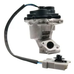 Agr-Szelep - MAGNETI MARELLI (EV137)