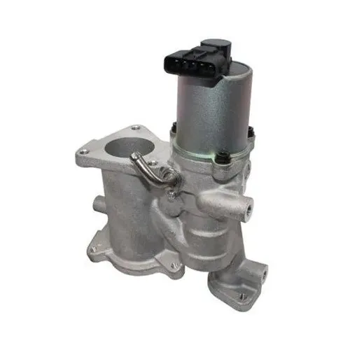 Agr-Szelep - MAGNETI MARELLI (EV134)