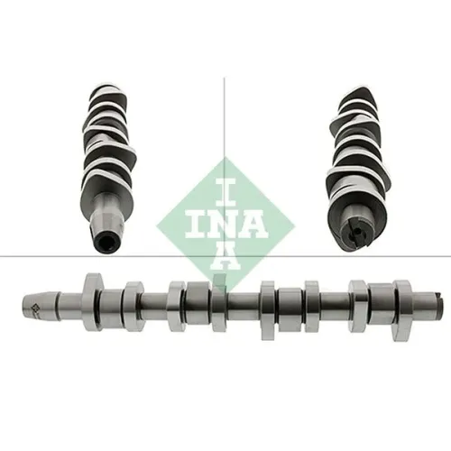 Vezérműtengely - Schaeffler INA (428011010)