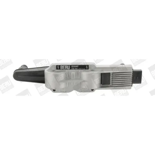 Gyújtótekercs - BorgWarner (BERU) (BERZSE040)