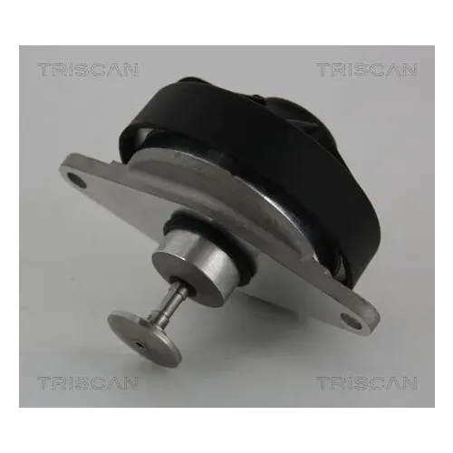 Agr-Szelep - TRISCAN (881324202)