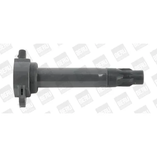 Gyújtótekercs - BorgWarner (BERU) (BERZS562)