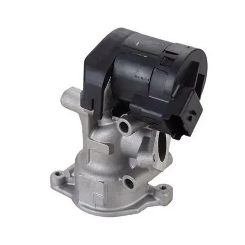 Agr-Szelep - MAGNETI MARELLI (EV098)