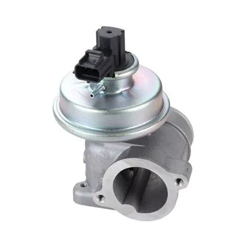 Agr-Szelep - MAGNETI MARELLI (EV109)