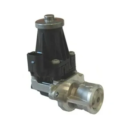 Agr-Szelep - MAGNETI MARELLI (EV072)