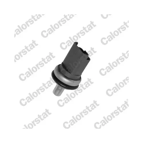Érzékelő, Hűtőfolydék Hőmérséklet - CALORSTAT by Vernet (WS2610)