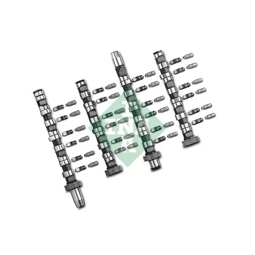 Vezérműtengely Készlet - Schaeffler INA (428003830)