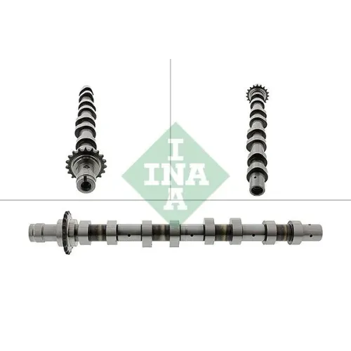 Vezérműtengely - Schaeffler INA (428011910)