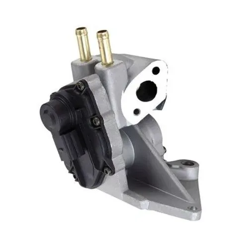 Agr-Szelep - MAGNETI MARELLI (EV078)