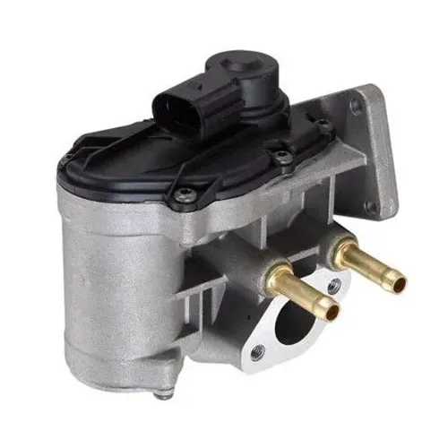 Agr-Szelep - MAGNETI MARELLI (EV077)