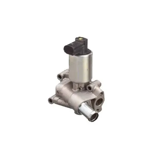 Agr-Szelep - MAGNETI MARELLI (EV066)
