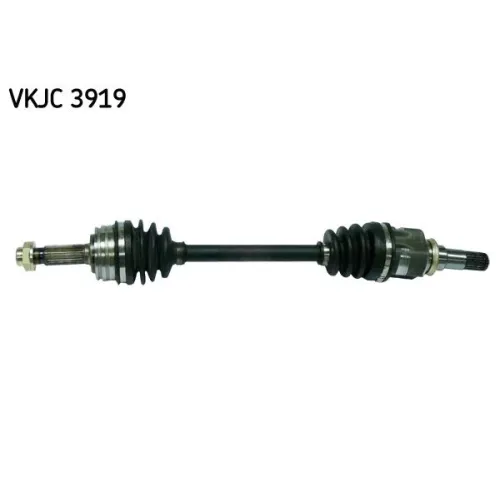 SKF (VKJC3919)