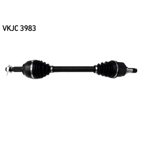 SKF (VKJC3983)