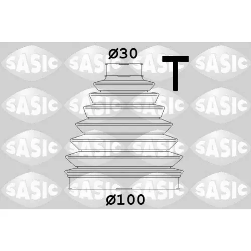 SASIC (1904016)