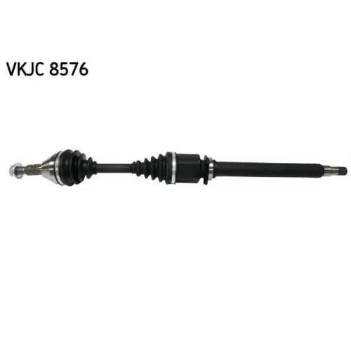 SKF (VKJC8576)