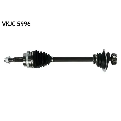 SKF (VKJC5996)