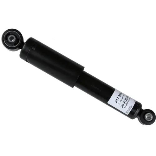 SACHS (317 969)