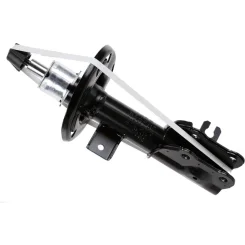 SACHS (317 625)