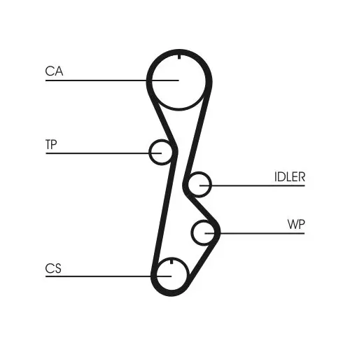 Fogasszíj - CONTINENTAL CTAM (CT774)