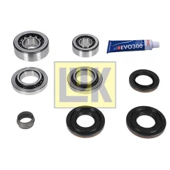 Javítókészlet, Differenciál - Schaeffler LuK (462021510)