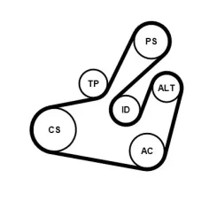 Hosszbordás Szíj Készlet Master Ii/Trafic Ii 2,5Dci - CONTINENTAL CTAM (7PK1834K1)