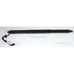 Gázrugó, Csomag-/Poggyásztér Bmw 1 07.19- Bal - TRISCAN (871011370)