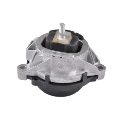 Felfüggesztés, Motor Bmw 4 (F32, F82) 11.13-06.20 Bal - TEDGUM (TED24020)