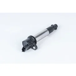 Gyújtótekercs - BorgWarner (BERU) (BERZS558)