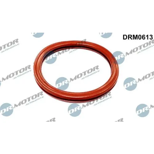 Tömítés, Fojtószelep Ház - DRM (DRM0613)