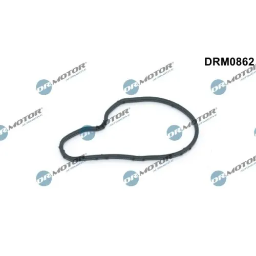 Tömítés, Vákuumszivattyú - DRM (DRM0862)