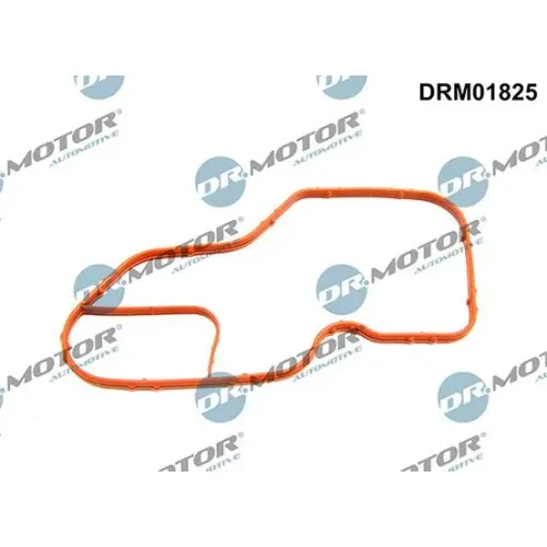 Tömítés, Termosztátház - DRM (DRM01825)