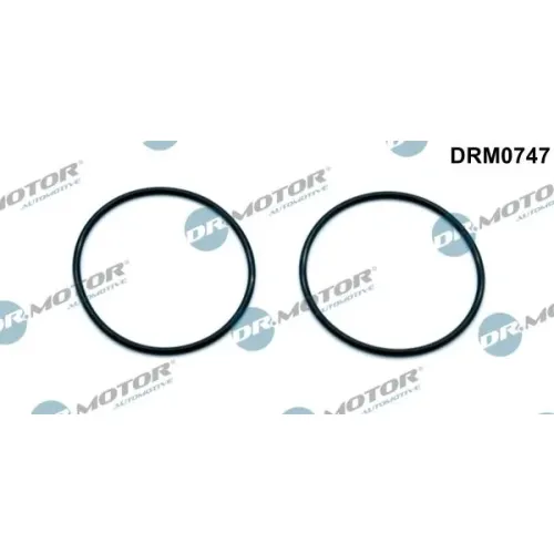 Tömítés, Vákuumszivattyú - DRM (DRM0747)
