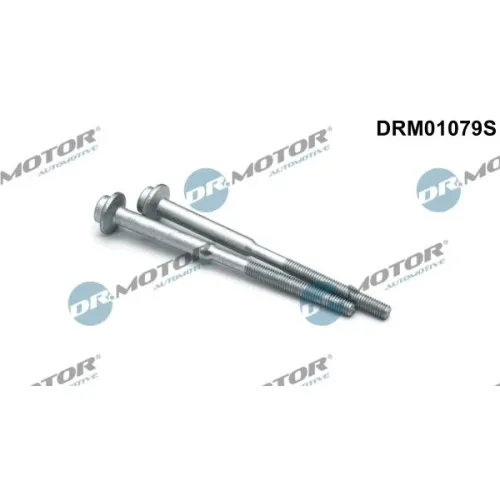 Csavar, Befecskendező Fúvóka Tartó - DRM (DRM01079S)