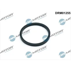 Tömítés, Olajhűtő - DRM (DRM01255)