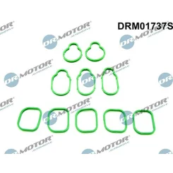 Tömítéskészlet, Szívókönyök - DRM (DRM01737S)