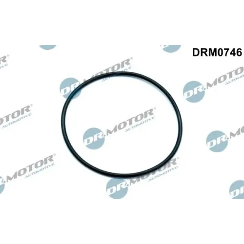 Tömítés, Vákuumszivattyú - DRM (DRM0746)