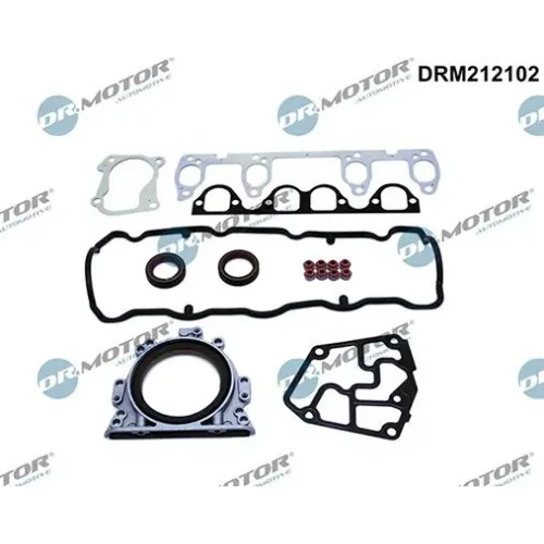 Teljes Tömítéskészlet, Motor - DRM (DRM212102)