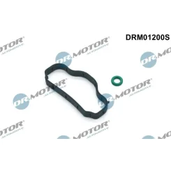 Tömítéskészlet Separatora Olaj Ford Transit 2.0D 15- - DRM (DRM01200S)