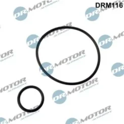 Gyürü Szett Szivattyú Vákuum Renault 2,0Hdi 8V - DRM (DRM116)