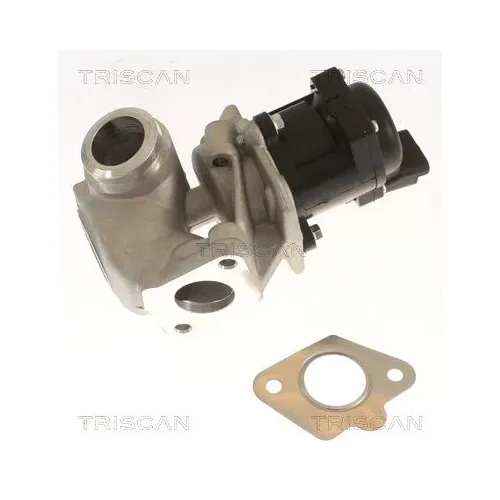 Szelep Egr Fiat 1,3M-Jet - TRISCAN (881310018)
