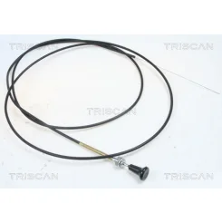 Szivató Csappantyú, Porlasztó - TRISCAN (814091004)