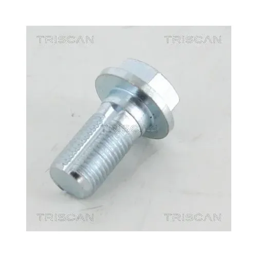 Üreges Csavar - TRISCAN (81053259)