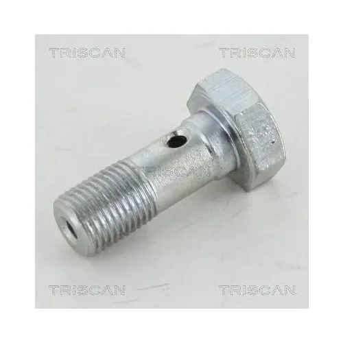 Üreges Csavar - TRISCAN (81053254)