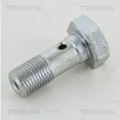 Üreges Csavar - TRISCAN (81053254)