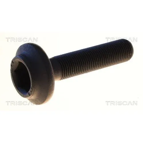 Csavar Seat Exeo 09-14 - TRISCAN (85010540)