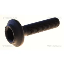 Csavar Seat Exeo 09-14 - TRISCAN (85010540)