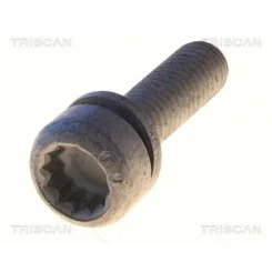 Csavar Vw Tiguan 12- - TRISCAN (85010544)