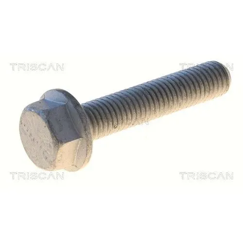 Csavar Audi A4 08- - TRISCAN (85010549)
