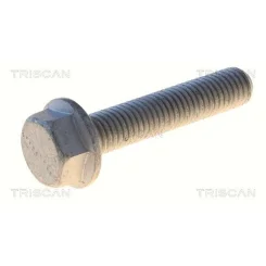 Csavar Audi A4 08- - TRISCAN (85010549)