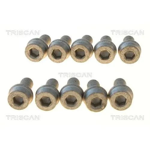 Csavar Vw 1,4 D- 2,5 (95- ) - TRISCAN (85010511)